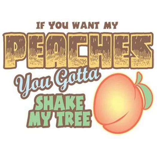 If You Want My Peaches T Shirt Cozy Loose Fit Short Sleeve