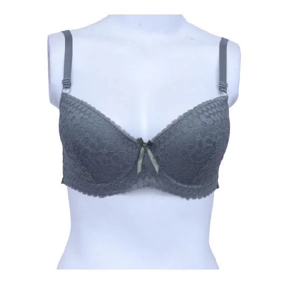 Splendour Embroidered Underwired Bra | Lace Padded Bra Full Coverage Bra